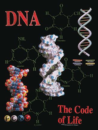 [ What is DNA? >>>]